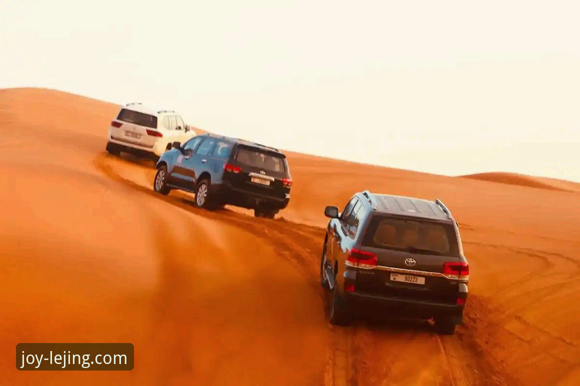 从沙漠到迪拜：顶级赛事背后的交通危机与观赛实用指南